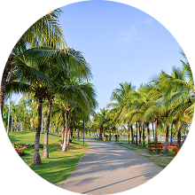 두바이 기항지 관광 - 사막 사파리와 낙타, 전통 베두인 문화 체험