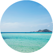 일본 이시카키 섬의 맑은 바다와 산호초